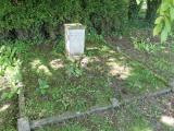image number IMG_3315